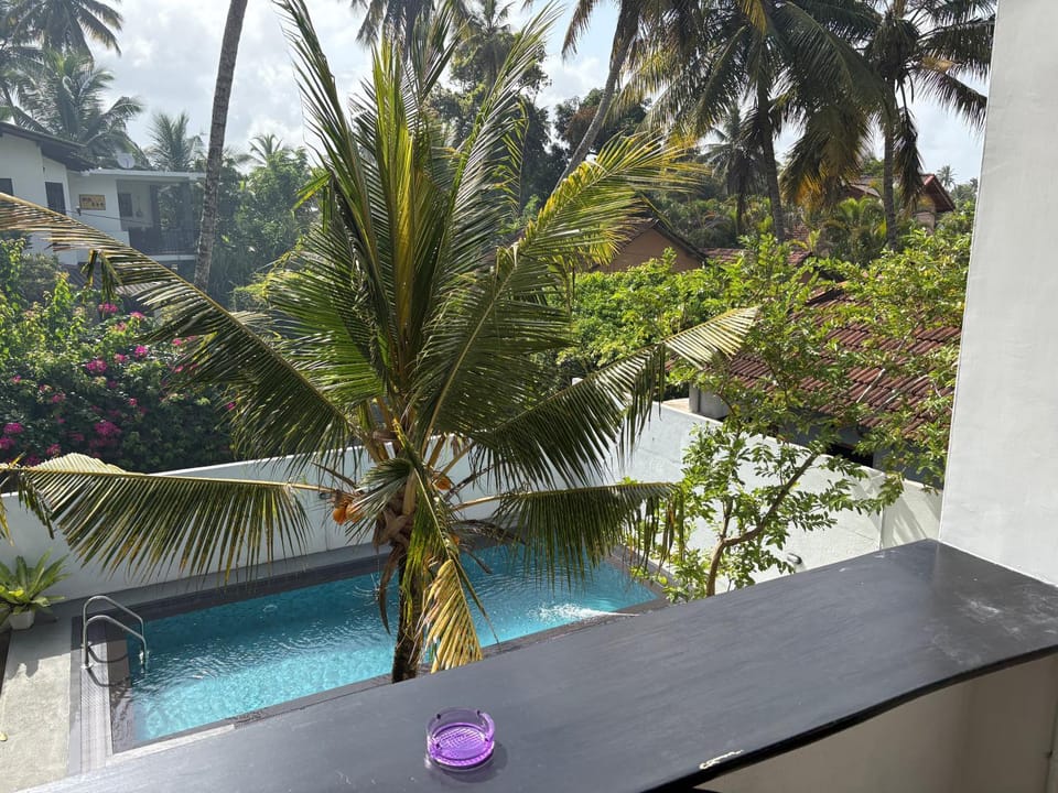 Day, Natural landscape, Garden, Garden view, Swimming pool