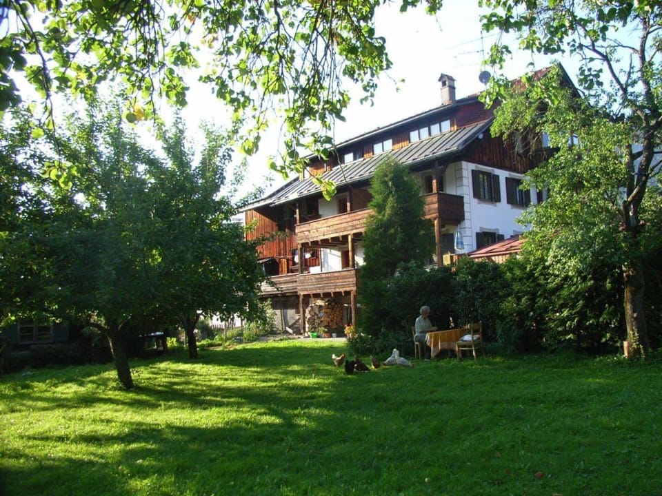 Property building, Summer, Garden