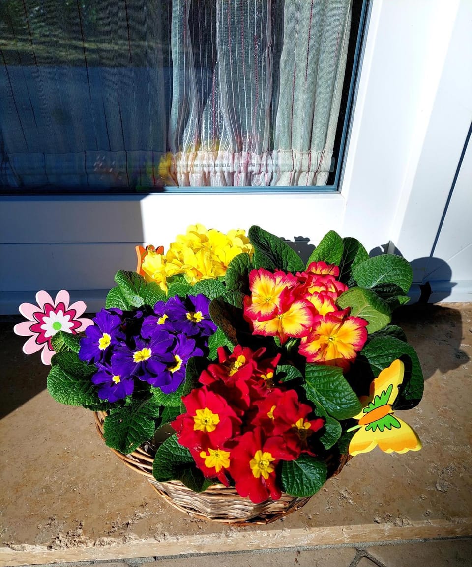 Villette Susanna Villa in Lignano Sabbiadoro