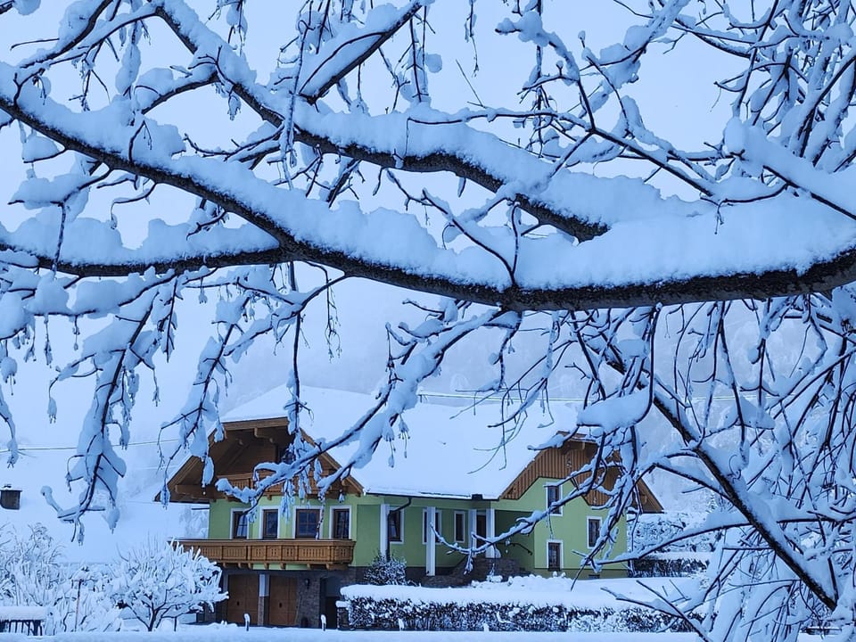 Property building, Winter