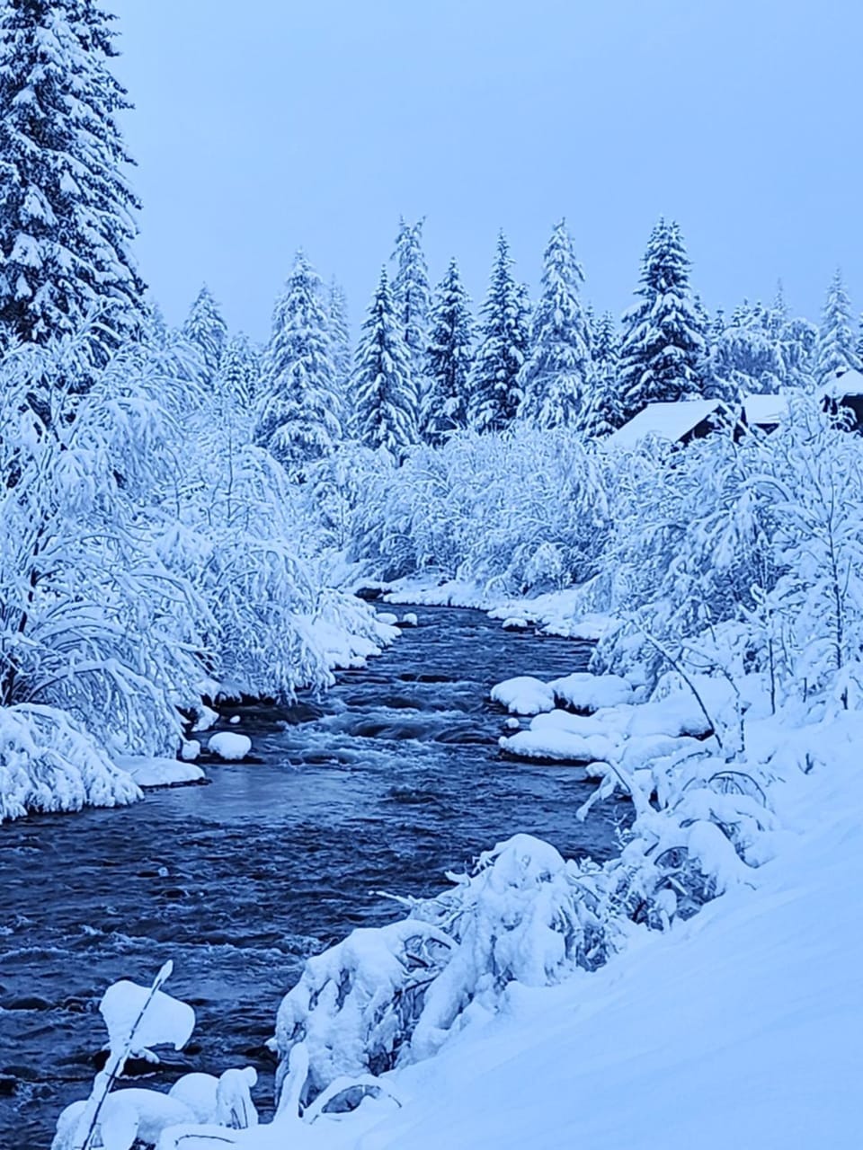 Natural landscape, Winter, River view