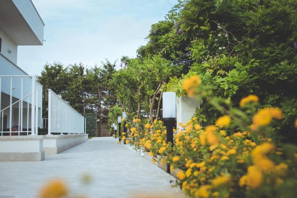 Casa la Strea by Vivi Salento House in Apulia