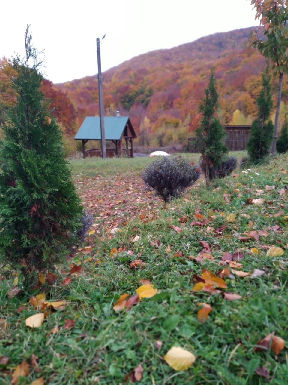 соколів камінь House in Slovakia
