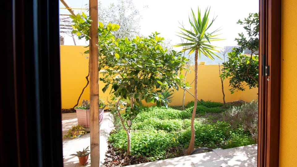 Garden, Garden view