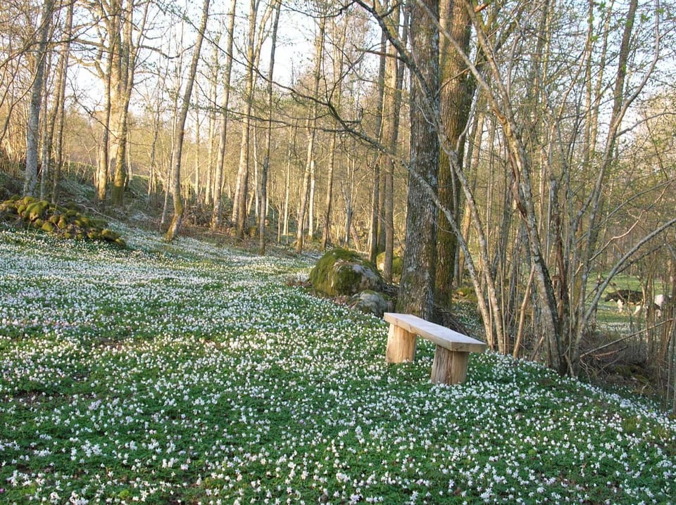 Natural landscape, Hiking, Area and facilities