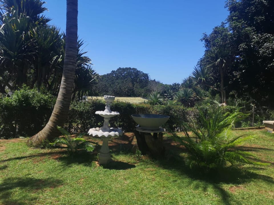 Natural landscape, Garden