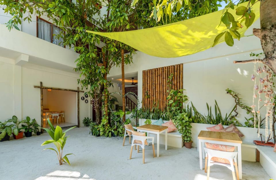 Seating area, Dining area, Diving