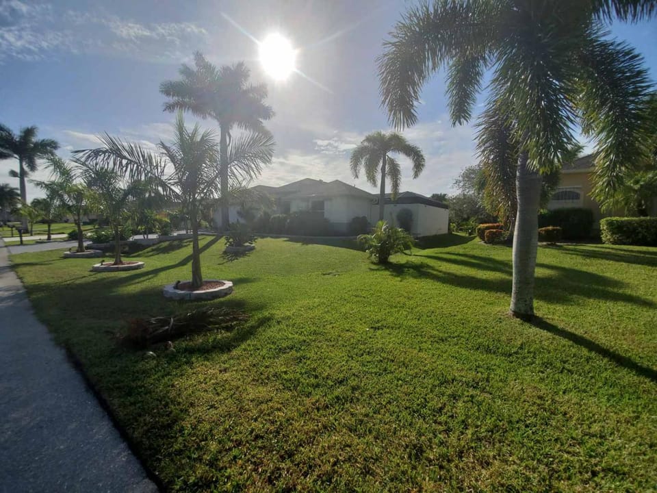 Garden view