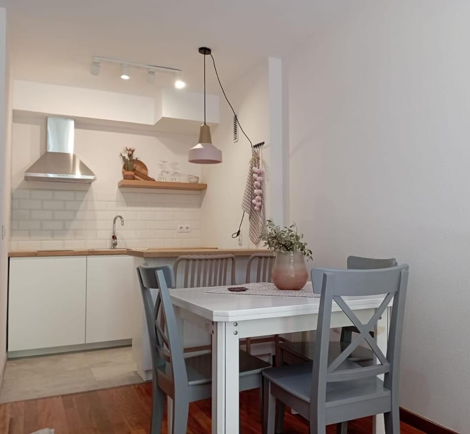 El Canfranero Apartment in Aragon