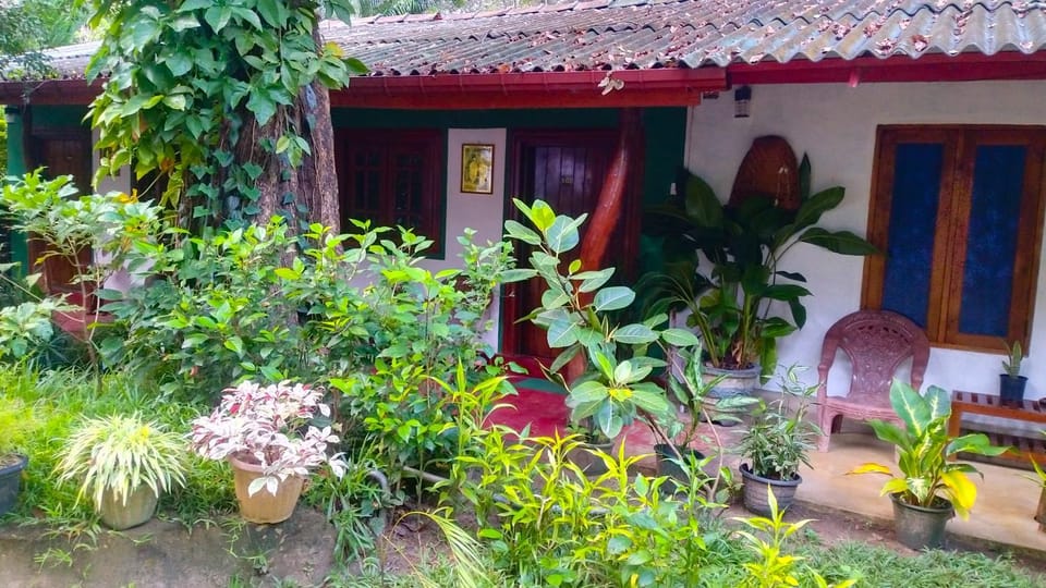 Property building, Garden, Garden view
