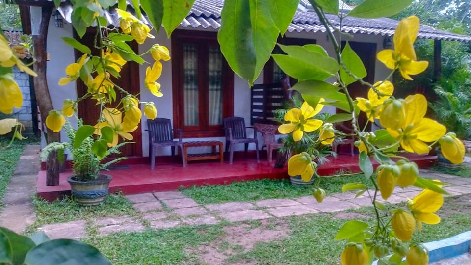 Property building, Garden view