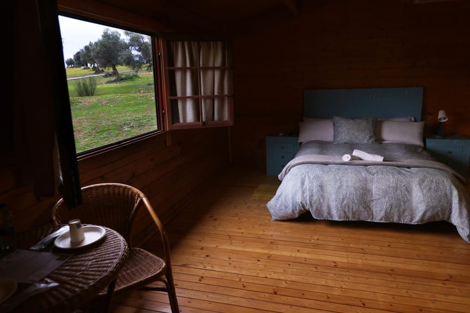 View (from property/room), Photo of the whole room