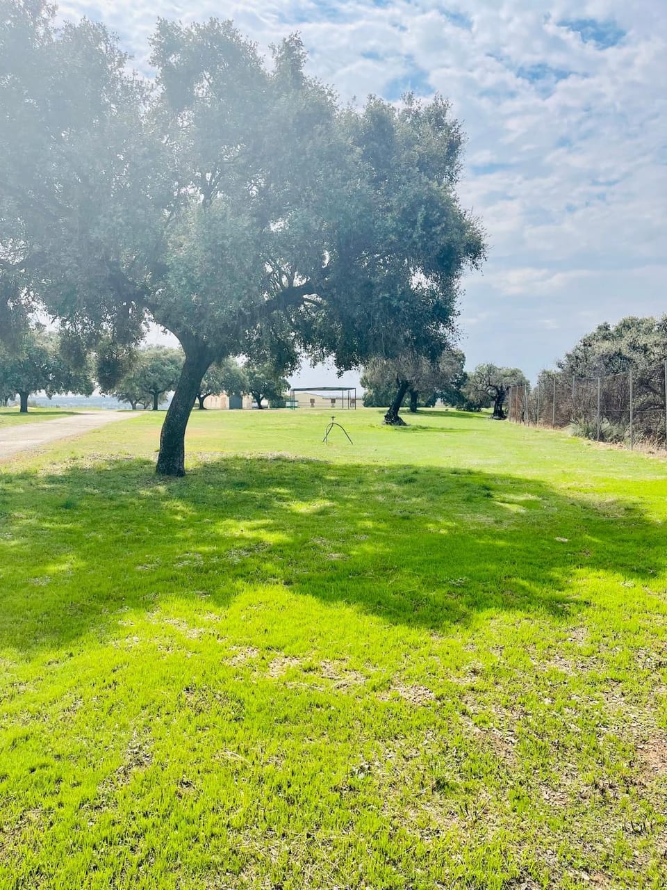 Natural landscape, Garden
