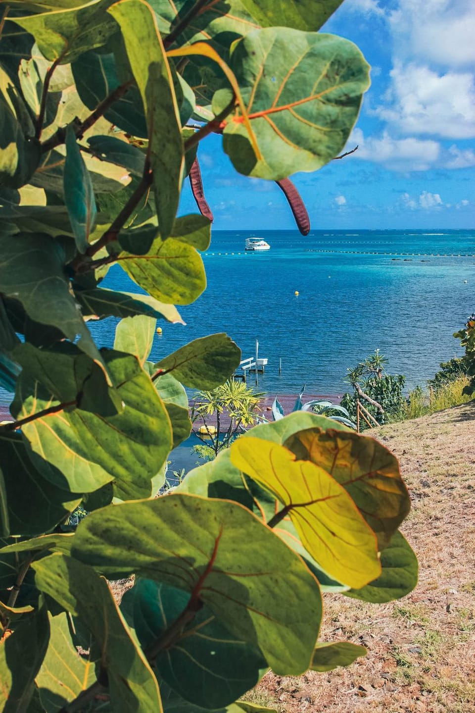 Natural landscape, Sea view