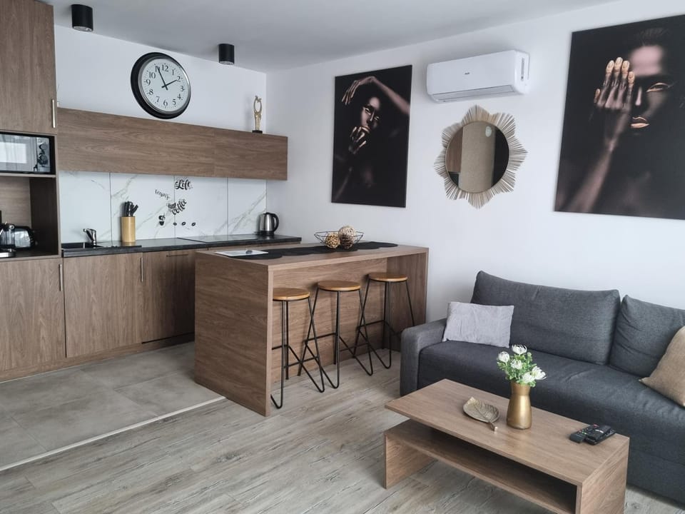 Kitchen or kitchenette, Living room, Seating area, Dining area, stove