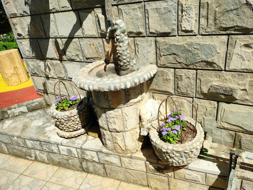 Day, Garden, Garden view