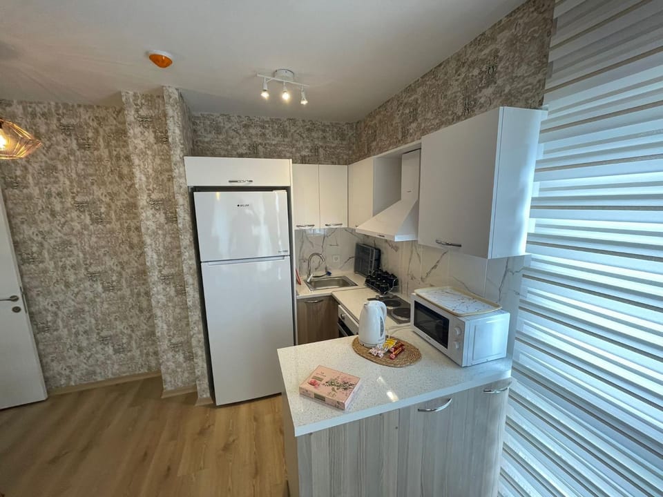 Kitchen or kitchenette, oven, stove