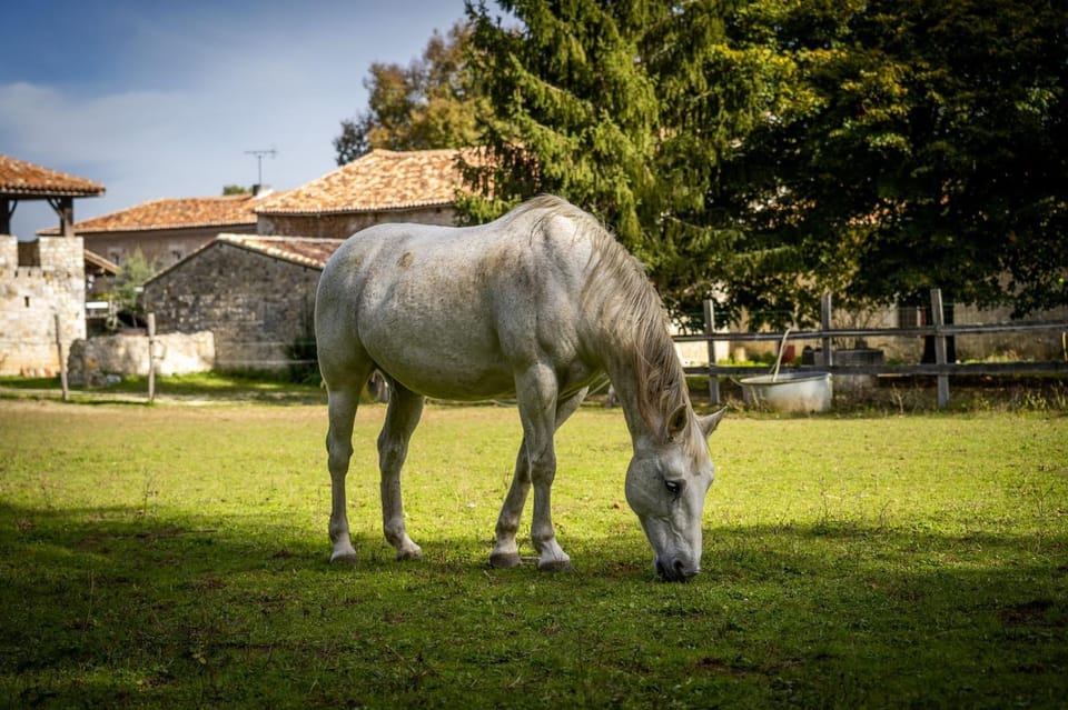 Un Logis en Angoumois Bed and Breakfast in Nouvelle-Aquitaine
