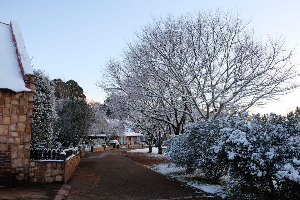 Winter
