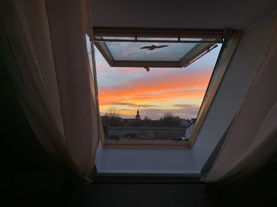 View (from property/room)