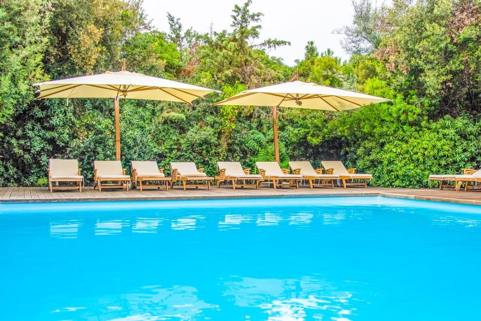 Patio, Day, Natural landscape, Garden, Garden view, Pool view, Swimming pool, sunbed