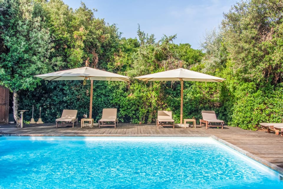 Patio, Day, Garden, Garden view, Pool view, Swimming pool, sunbed