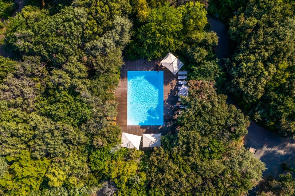 Day, Natural landscape, Bird's eye view, Pool view, Swimming pool, sunbed