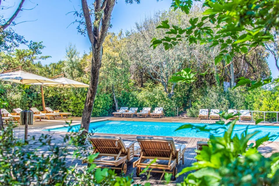 Patio, Natural landscape, Garden, Garden view, Pool view, Swimming pool, sunbed