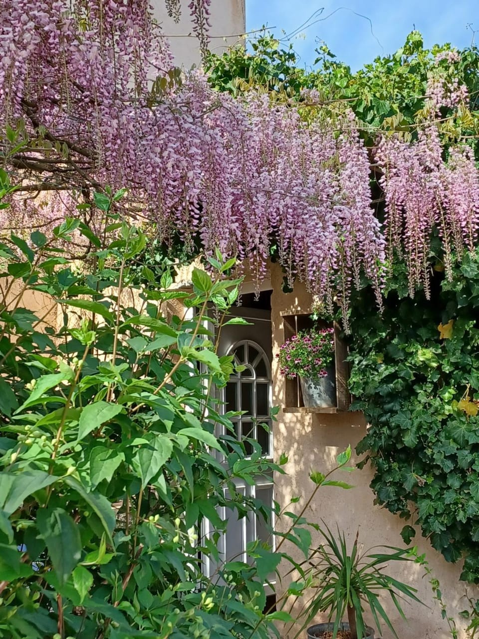 Garden, Garden view