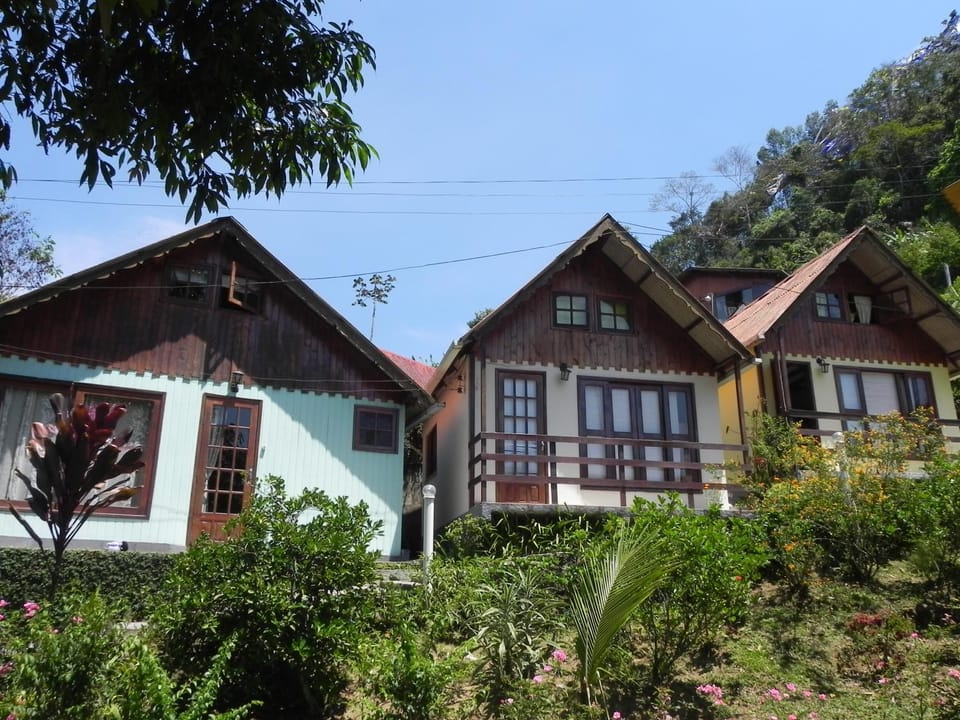 View (from property/room)