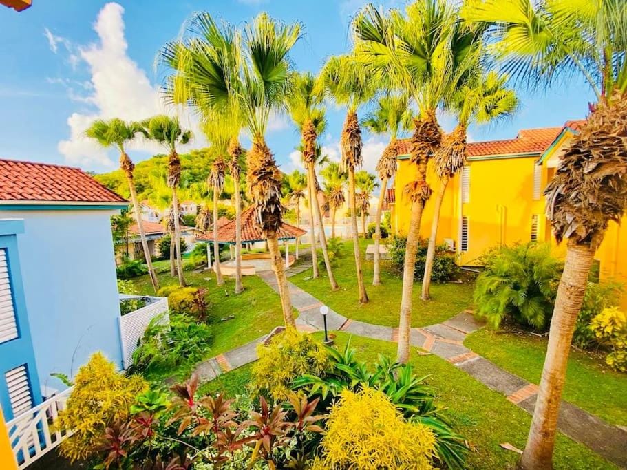 Garden, Garden view
