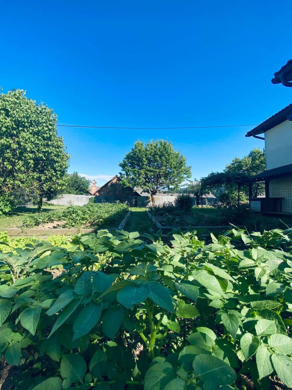 Garden view
