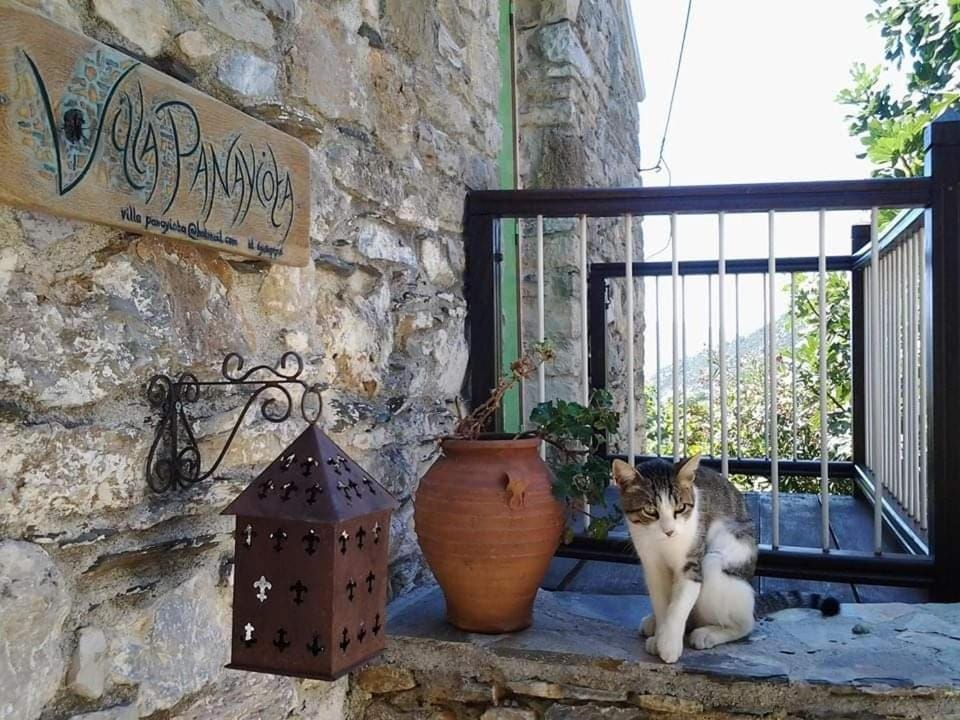 Villa Panayiota Apartment in Sporades, Greece
