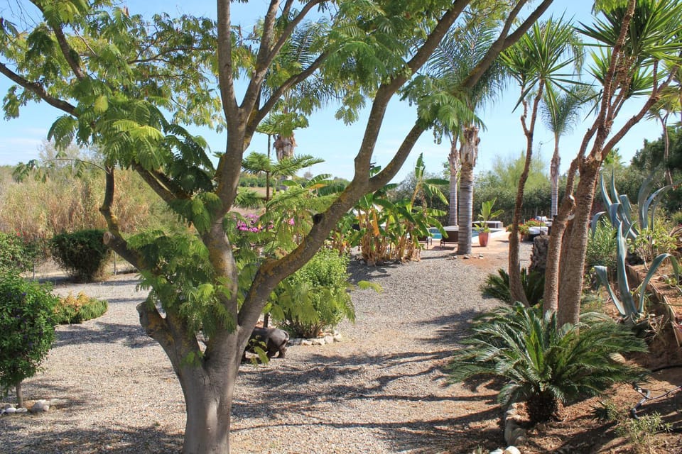 Natural landscape, Garden