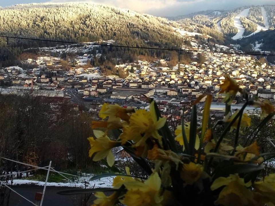 Gîte fonctionnel avec terrasse et vue, Gérardmer - FR-1-589-402 House in Gérardmer