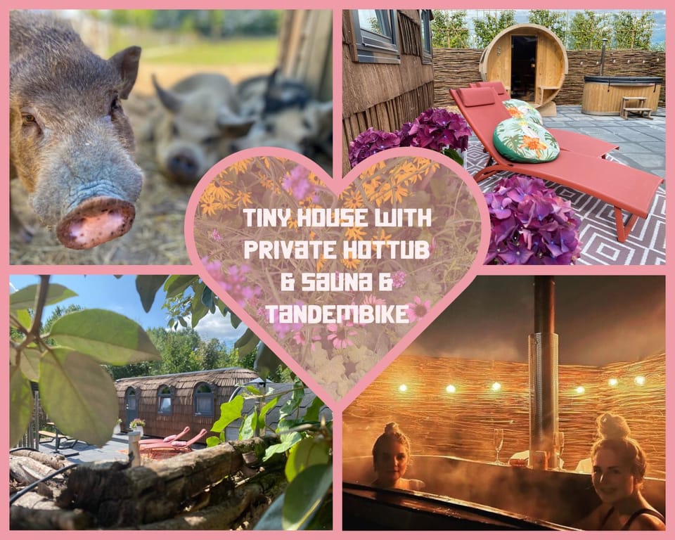 Bed & Wellness Pigs and Pillows with private hottub and sauna and tandembike rental included in price near Amsterdam House in Zeewolde
