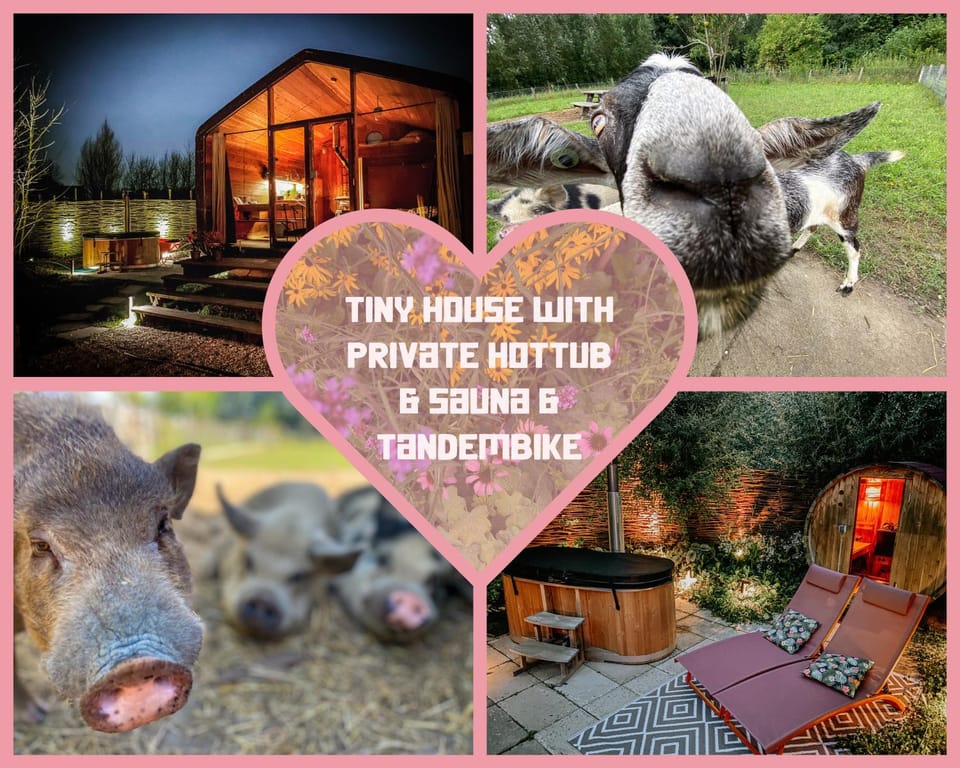 Bed & Wellness Pigs and Pillows with private hottub and sauna and tandembike rental included in price near Amsterdam House in Zeewolde