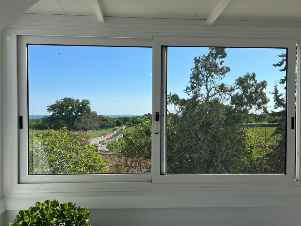 Garden, Garden view