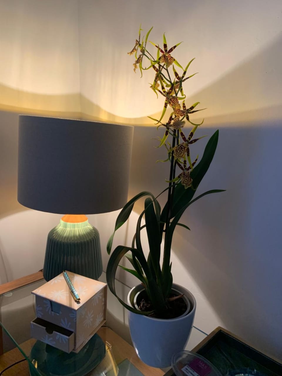 Hideaway Holiday Apartment Apartment in Salisbury