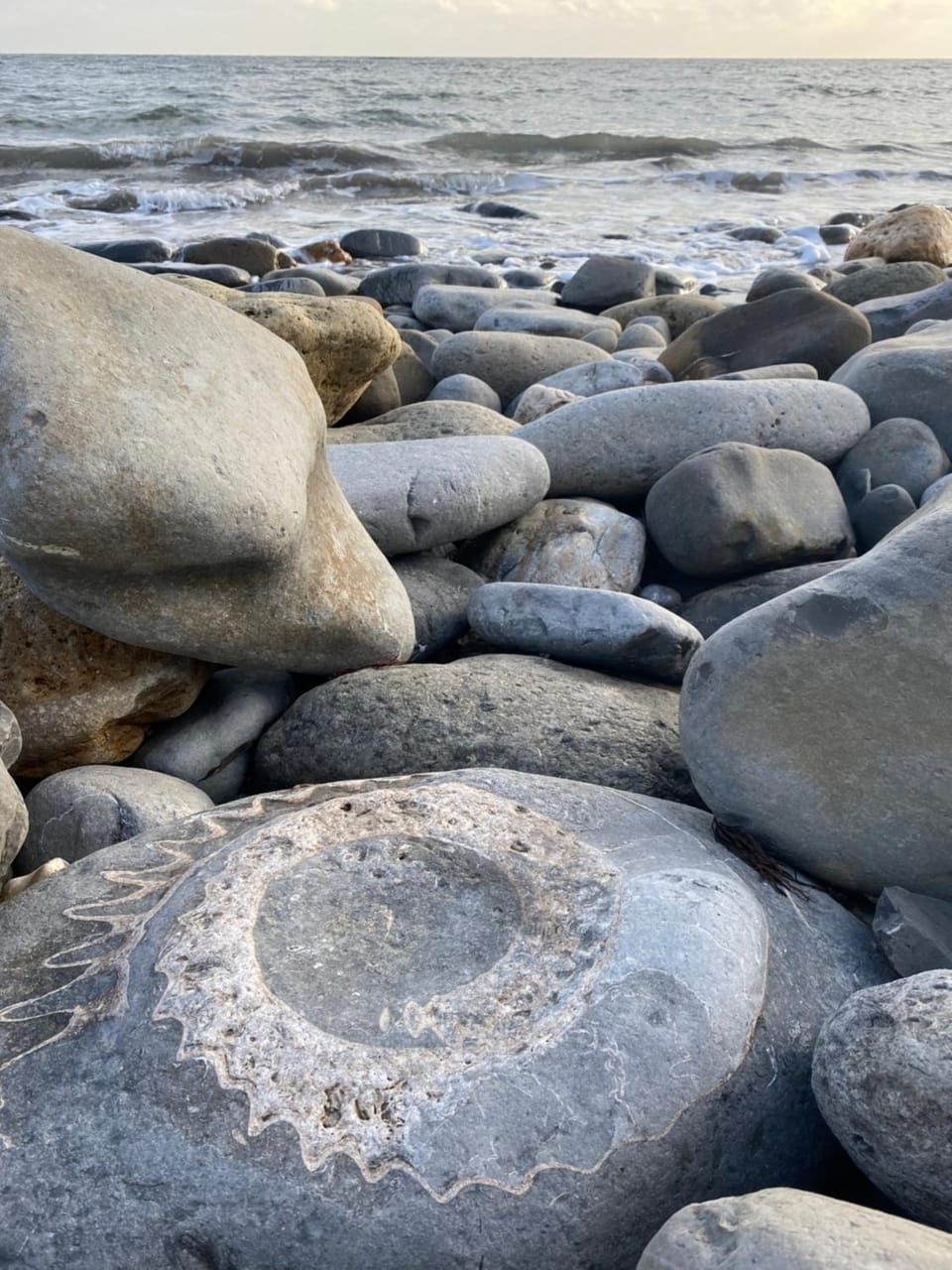 Seabreeze Apartment in Lyme Regis