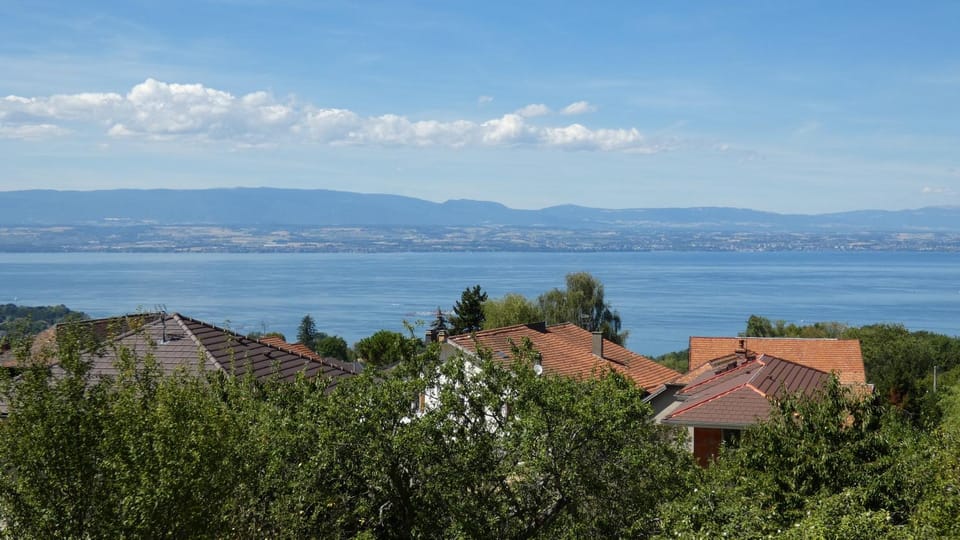 Lake view, Lake view