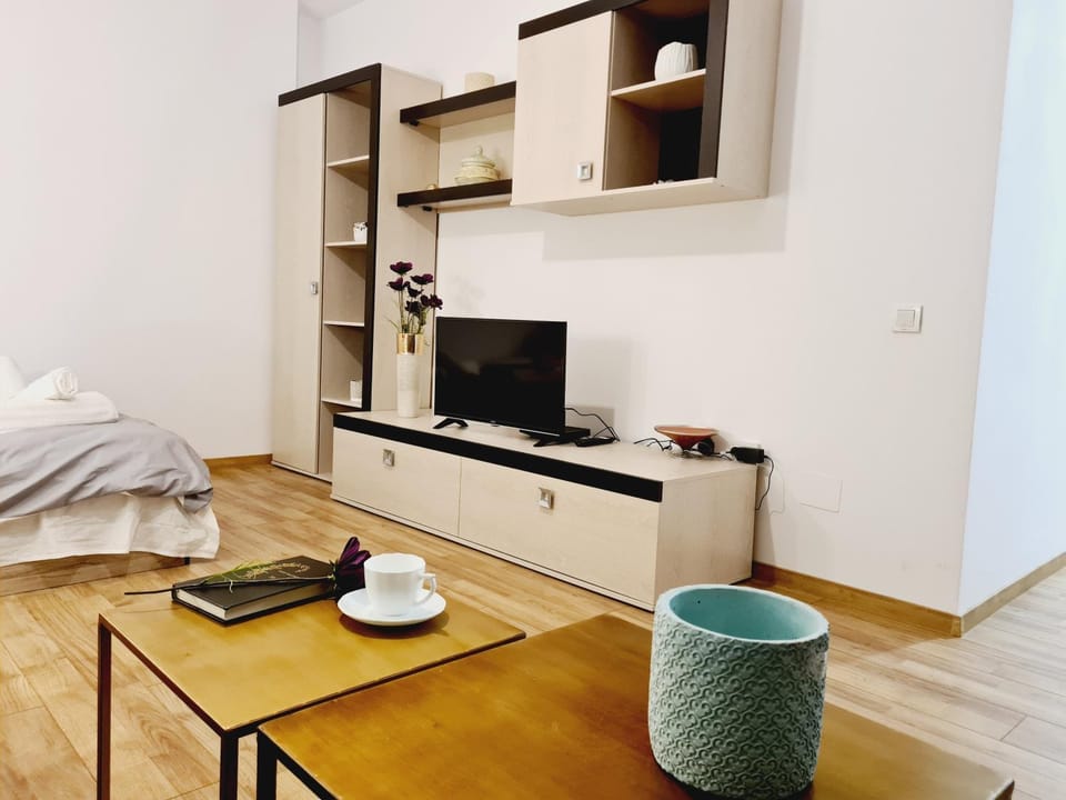 TV and multimedia