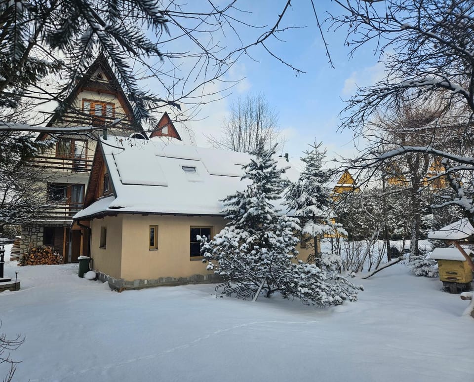 Property building, Day, Winter