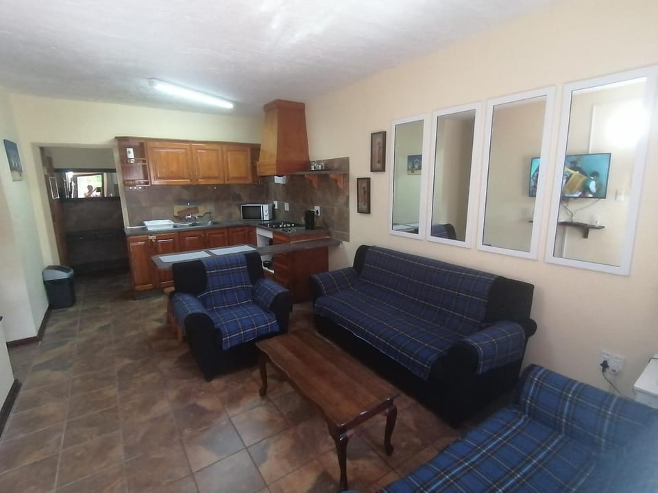 Kitchen or kitchenette, Living room, Seating area