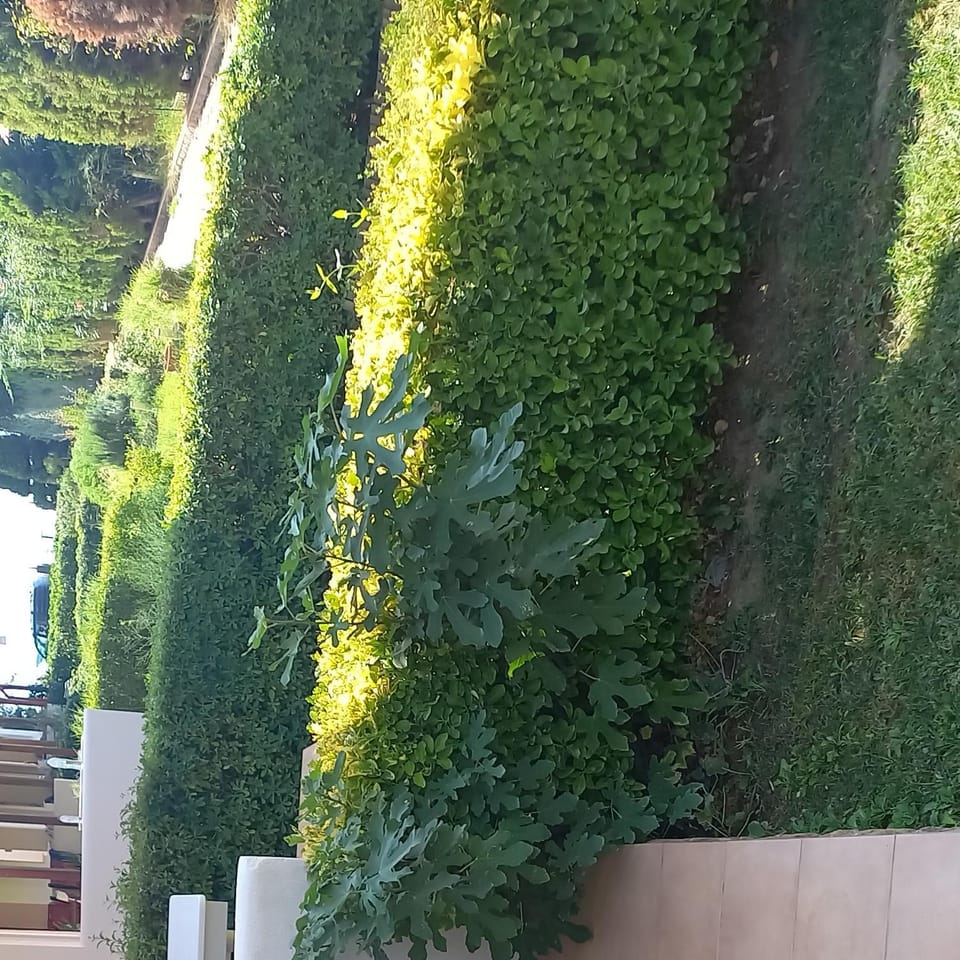 Bay beach maisonette-Everything you desire House in Nikiti