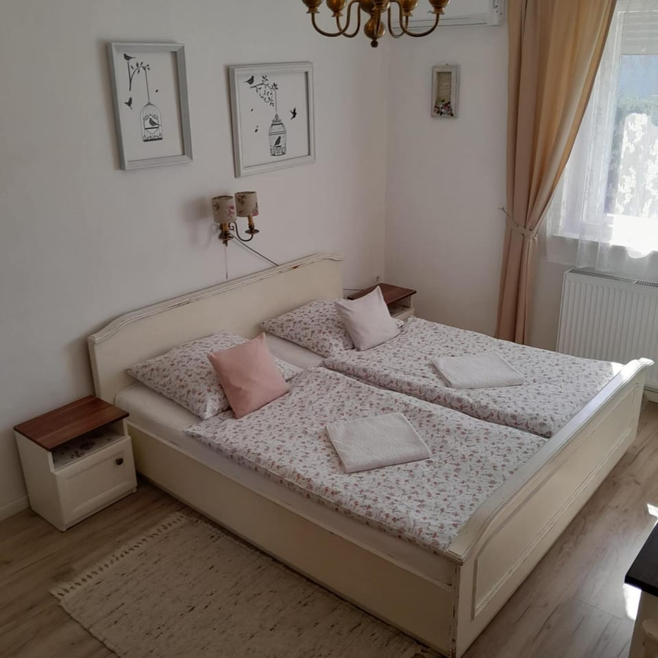 Edina Vintage Vendégház Apartment in Slovakia