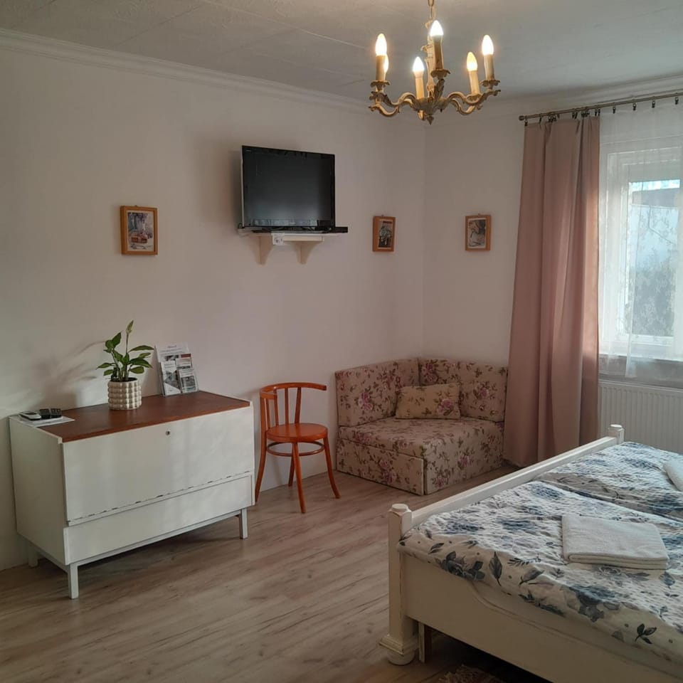 Edina Vintage Vendégház Apartment in Slovakia