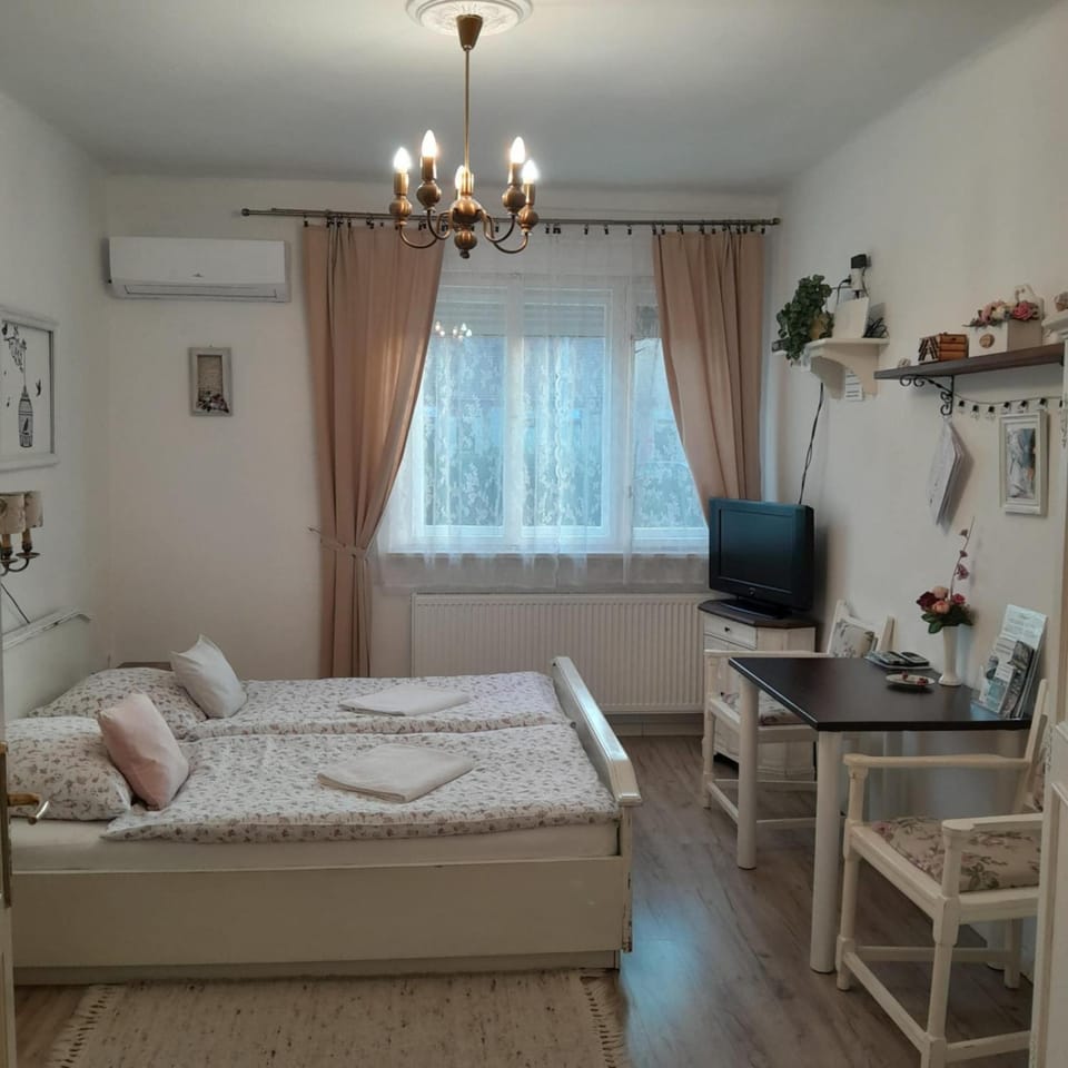 Edina Vintage Vendégház Apartment in Slovakia