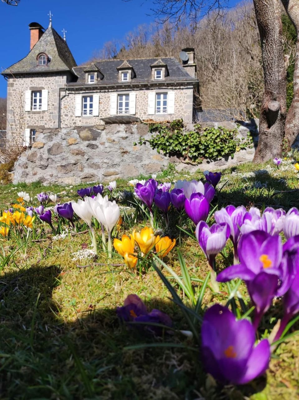 Property building, Garden, Garden