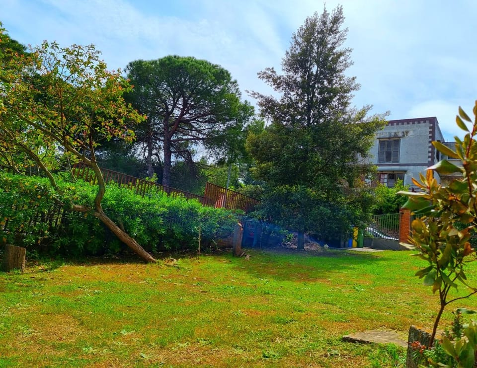 Garden, Garden view